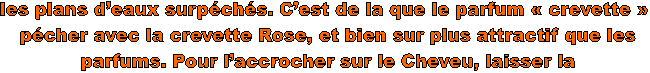 les plans deaux surpchs. Cest de la que le parfum  crevette 
 pcher avec la crevette Rose, et bien sur plus attractif que les
 parfums. Pour laccrocher sur le Cheveu, laisser la
